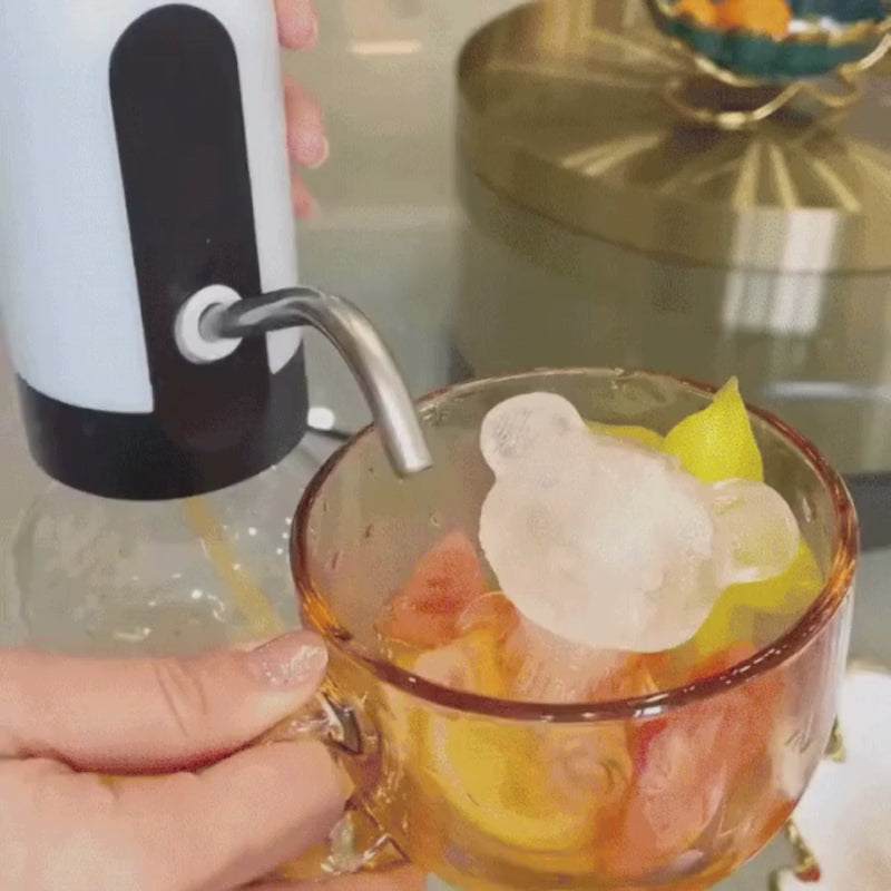 Electric Portable Water Dispenser Pump